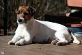 130503_lilli