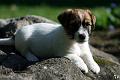 130519_emil4