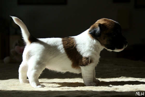 130420_fiona2.jpg - Fiona 4 weeks