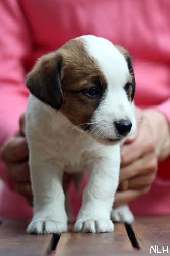 130508_aisla2.jpg - Aisla