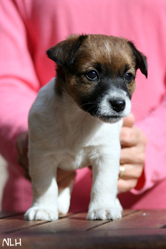 130508_arya2.jpg - Arya