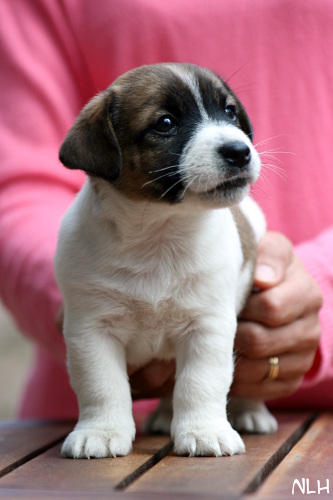 130508_cosmo3.jpg - Cosmo
