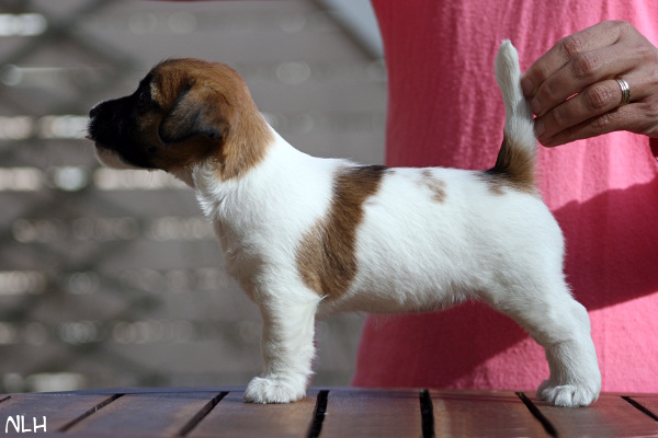 130508_fiona.jpg - Fiona 6,5 weeks