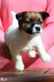 130508_arya3