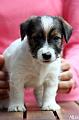 130508_emil3